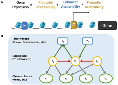 Causal discovery in high-dimensional, multicollinear datasets